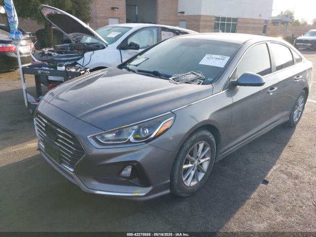 5NPE24AF2JH668994 Hyundai SONATA SE