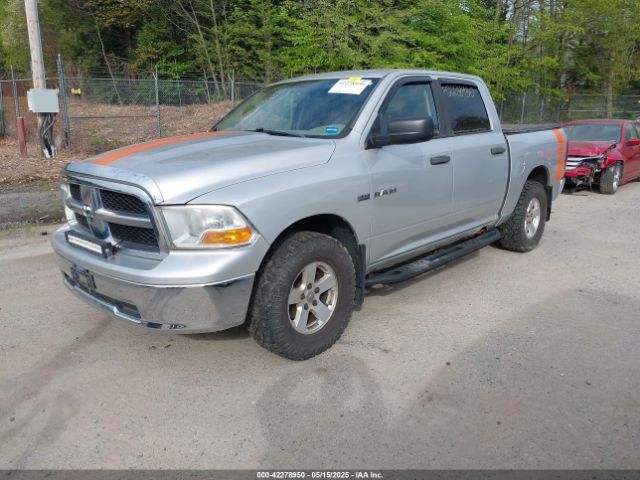 2009 DODGE RAM 1500 1D3HV13T59S761955 Photo 1