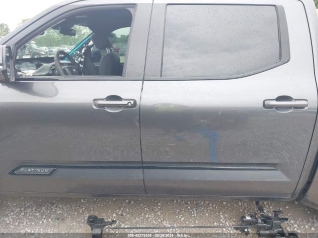 5TFNA5DB8RX209602 Toyota Tundra Platinum 4wd