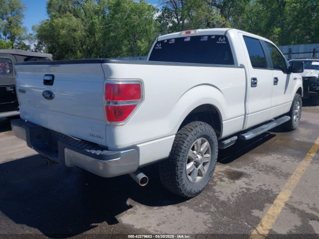 2013 FORD F-150 1FTFW1EF1DKE11459 Photo 3