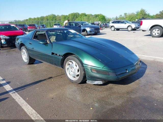 1994 CHEVROLET CORVETTE 1G1YY22P8R5110000