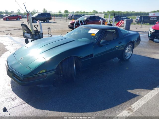 1994 CHEVROLET CORVETTE 1G1YY22P8R5110000 Photo 1