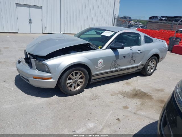 2007 FORD MUSTANG 1ZVFT80N275244240 Photo 1
