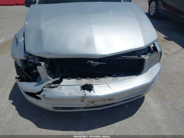 2007 FORD MUSTANG 1ZVFT80N275244240 Photo 5