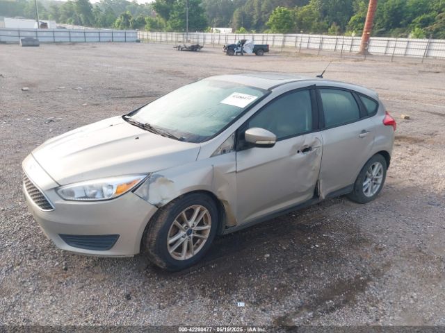 1FADP3K2XGL216532 Ford FOCUS SE