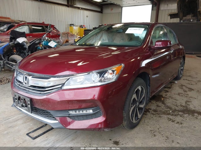 1HGCR2F96GA099305 Honda Accord Ex-l