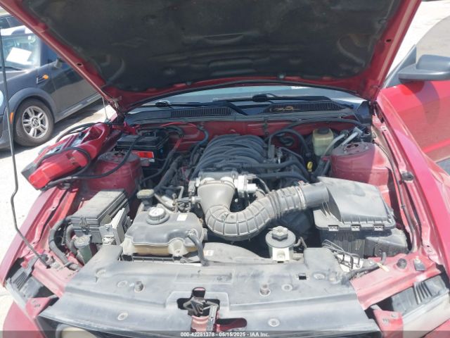 2008 FORD MUSTANG 1ZVHT82H885117204 Photo 9