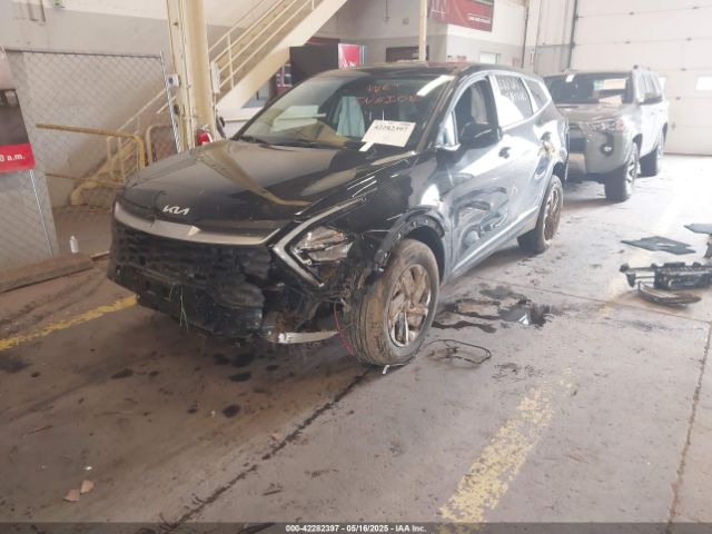 KNDPUCAG7P7116619 KIA Sportage Hybrid Lx