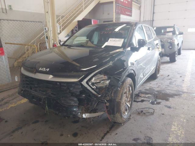 KNDPUCAG7P7116619 KIA Sportage Hybrid Lx