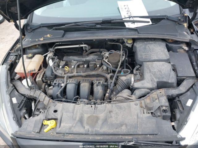 1FADP3F23GL244313 Ford FOCUS SE