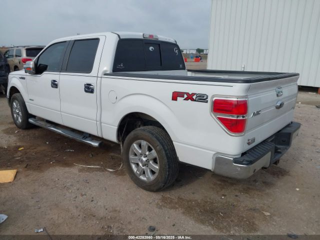 2014 FORD F-150 1FTFW1CT1EFC31904 Photo 2