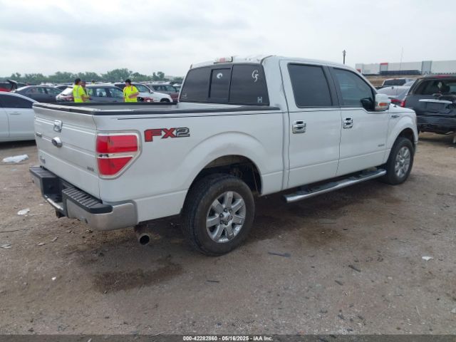 2014 FORD F-150 1FTFW1CT1EFC31904 Photo 3