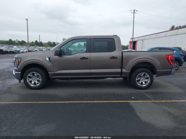 1FTEW1C51PFB46321 Ford F-150 Xlt