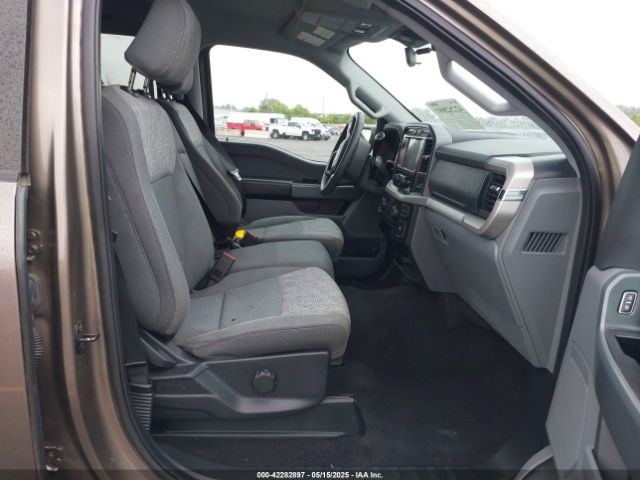1FTEW1C51PFB46321 Ford F-150 Xlt