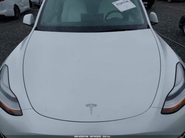 5YJYGDEE5MF095771 Tesla Model Y Long Range Dual Motor All-wheel Drive
