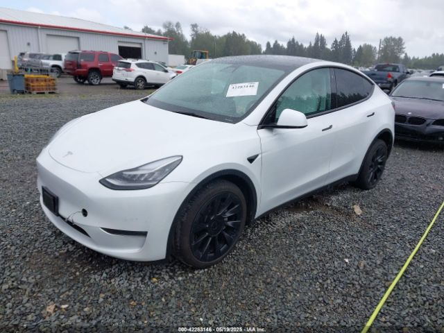 5YJYGDEE5MF095771 Tesla Model Y Long Range Dual Motor All-wheel Drive