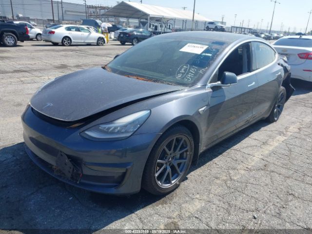 5YJ3E1EA4LF597181 Tesla Model 3 Standard Range Plus Rear-wheel Drive/standard Range Rear-wheel Drive