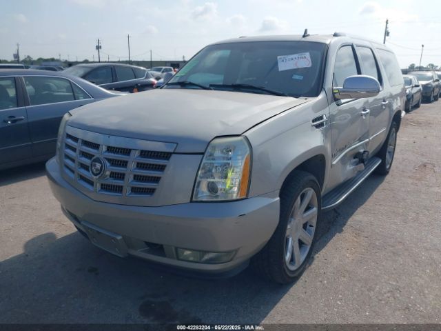 2007 CADILLAC ESCALADE ESV 1GYFK66817R235785 Photo 1