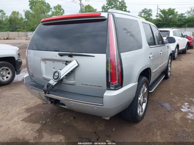 2010 CADILLAC ESCALADE 1GYUKBEF8AR133830 Photo 3