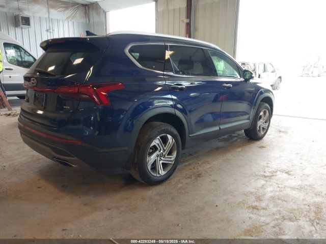 2023 HYUNDAI SANTA FE 5NMS2DAJ4PH569011 Photo 3