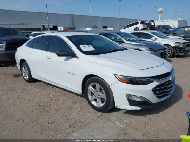 2019 CHEVROLET MALIBU 1G1ZB5ST5KF221771