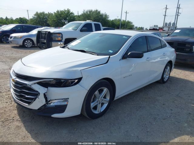 2019 CHEVROLET MALIBU 1G1ZB5ST5KF221771 Photo 1