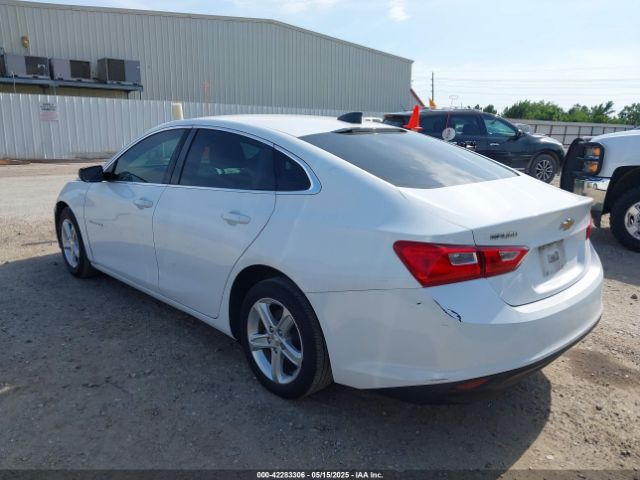 2019 CHEVROLET MALIBU 1G1ZB5ST5KF221771 Photo 2