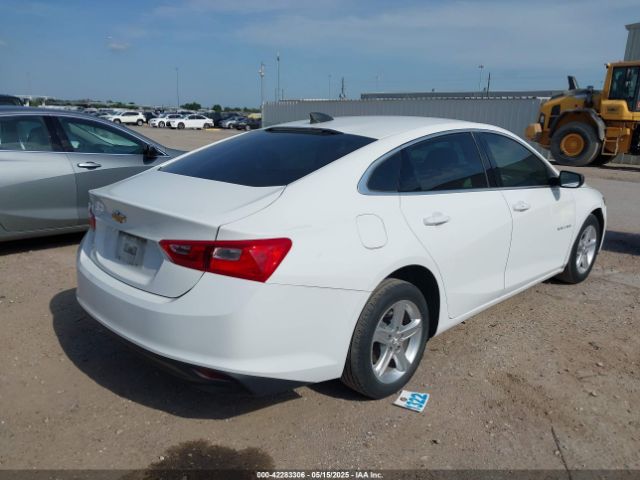 2019 CHEVROLET MALIBU 1G1ZB5ST5KF221771 Photo 3