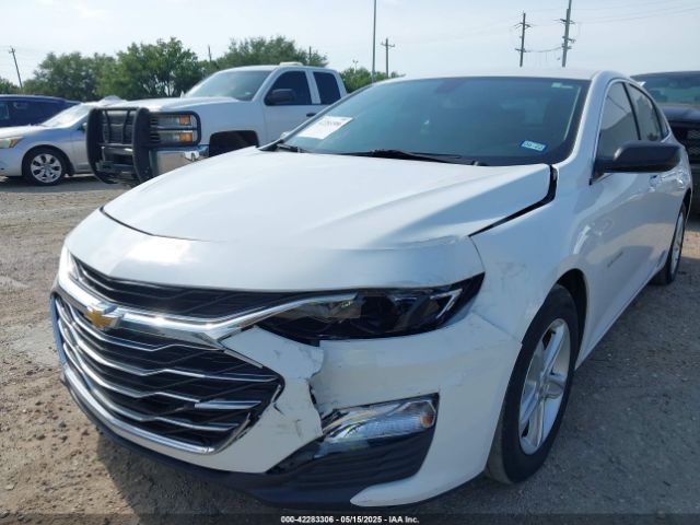 2019 CHEVROLET MALIBU 1G1ZB5ST5KF221771 Photo 5