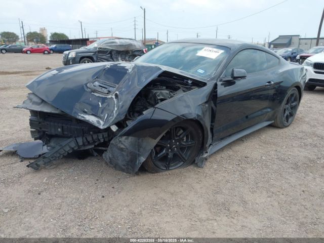 2019 FORD MUSTANG 1FA6P8THXK5125833 Photo 1