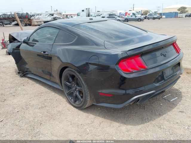 2019 FORD MUSTANG 1FA6P8THXK5125833 Photo 2