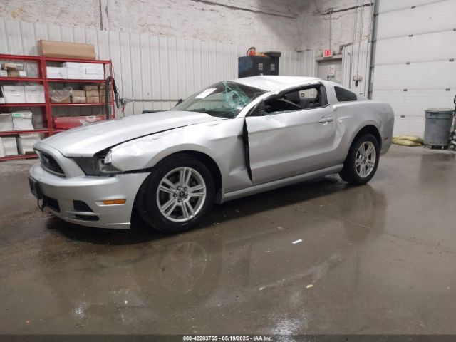 2014 FORD MUSTANG 1ZVBP8AM1E5215480 Photo 1