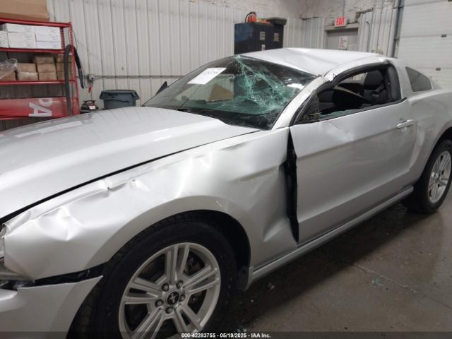 2014 FORD MUSTANG 1ZVBP8AM1E5215480 Photo 5