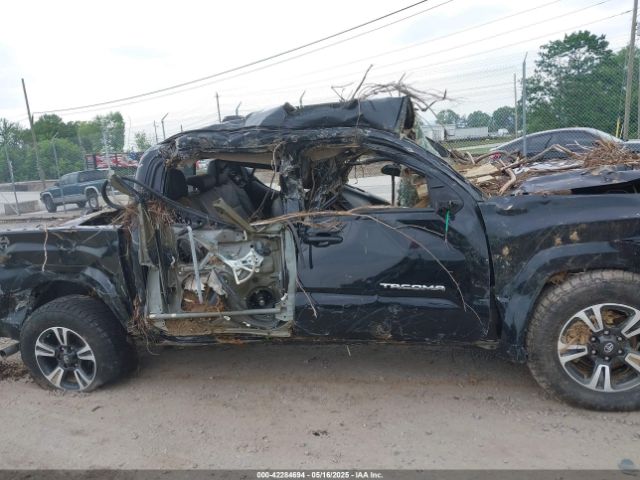 3TMCZ5AN7KM203669 Toyota Tacoma