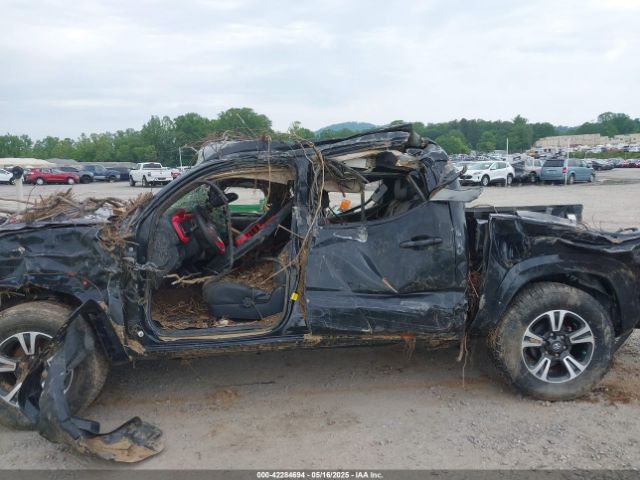 3TMCZ5AN7KM203669 Toyota Tacoma