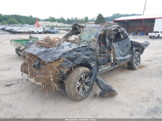 3TMCZ5AN7KM203669 Toyota Tacoma