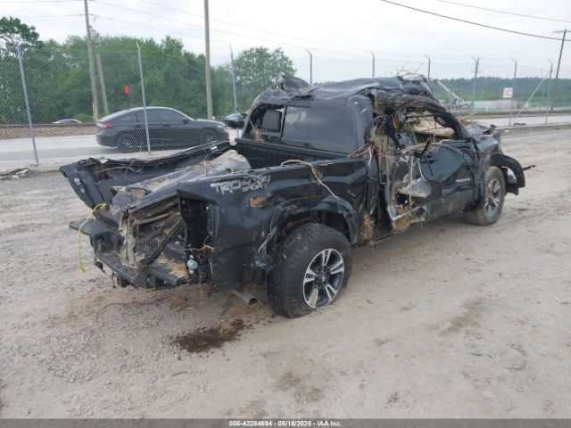 3TMCZ5AN7KM203669 Toyota Tacoma
