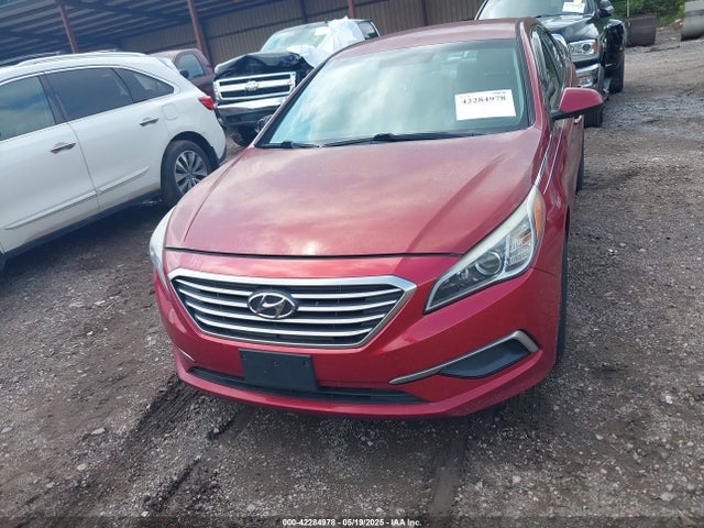 5NPE24AF4GH333888 Hyundai SONATA SE