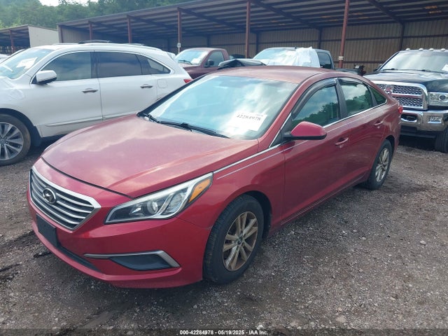 5NPE24AF4GH333888 Hyundai SONATA SE