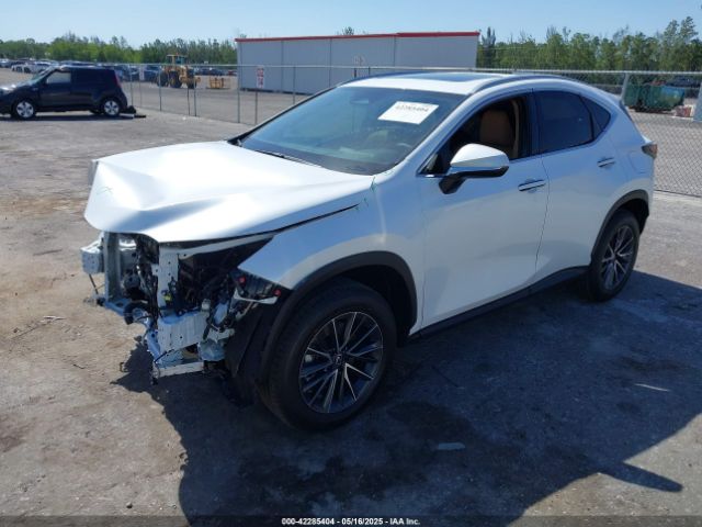 2025 LEXUS NX 250 2T2GDCAZXSC028362 Photo 1