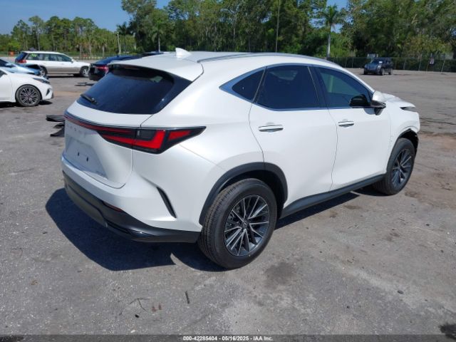 2025 LEXUS NX 250 2T2GDCAZXSC028362 Photo 3