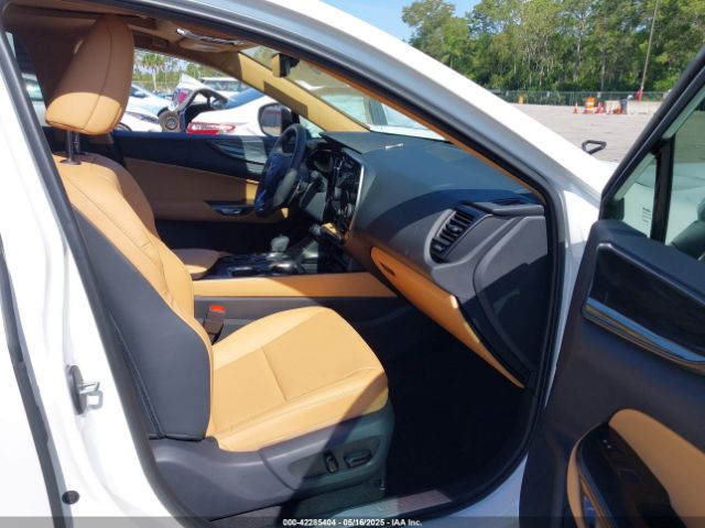 2025 LEXUS NX 250 2T2GDCAZXSC028362 Photo 4