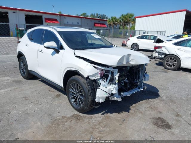 2025 LEXUS NX 250 2T2GDCAZXSC028362 Photo 5