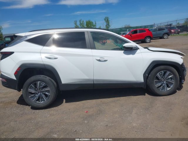 KM8JBCA12NU024674 Hyundai Tucson Hybrid Blue