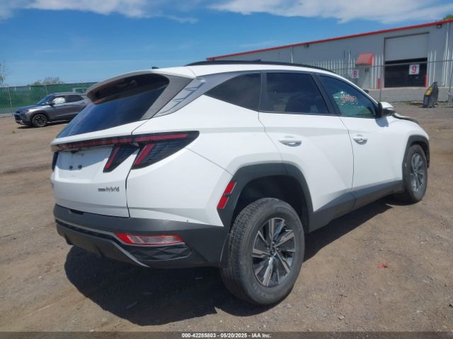 KM8JBCA12NU024674 Hyundai Tucson Hybrid Blue