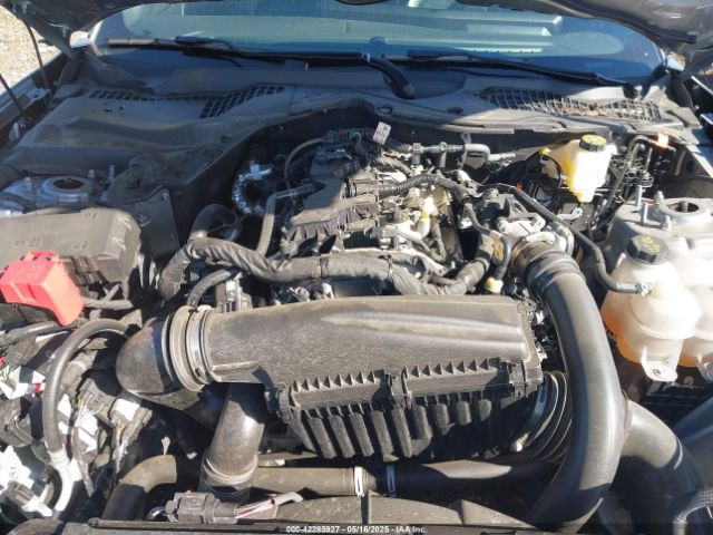 1FA6P8TH3R5130365 Ford Mustang Ecoboost Premium Fastback