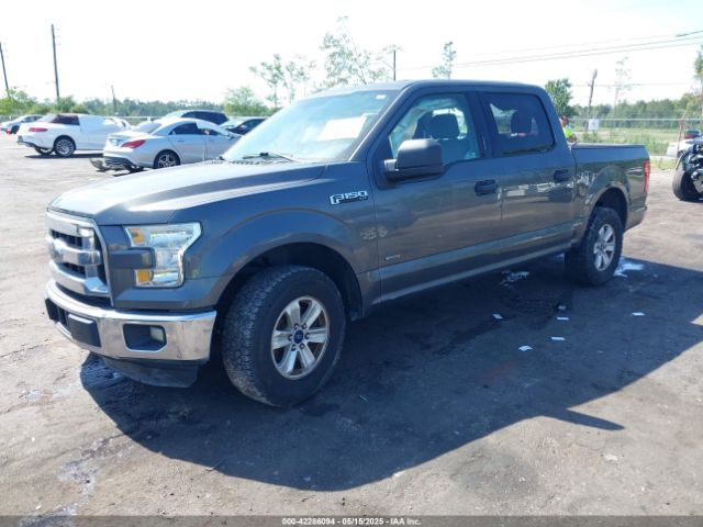 1FTEW1CP5GFB08429 Ford F-150 Xlt