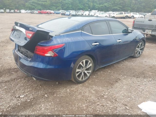 1N4AA6AP5HC425701 Nissan Maxima 3.5 Sv