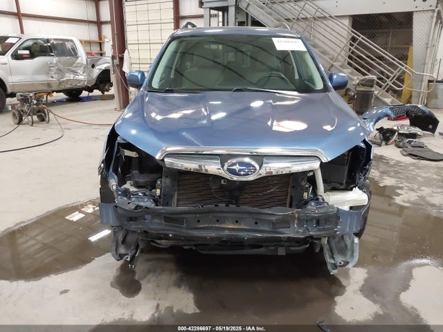 Subaru Forester 2.5i Premium 2015 JF2SJADCXFH819884 Image 6