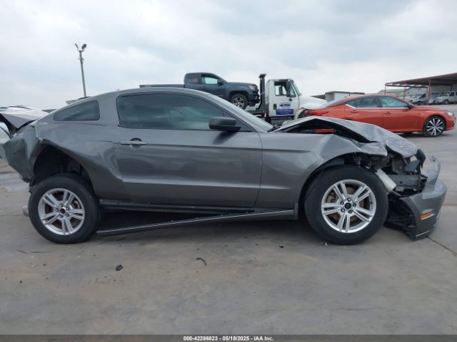 1ZVBP8AMXE5326626 Ford Mustang V6